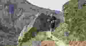 Brigerbad Run & Trail